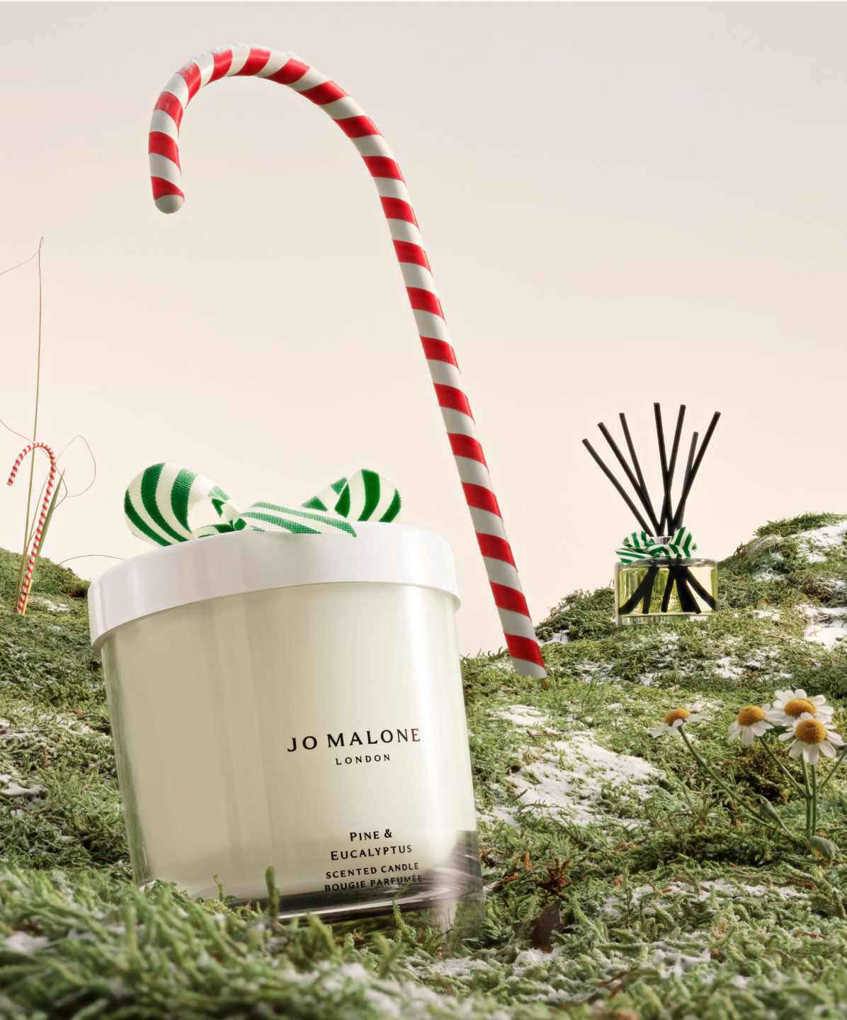 Jo Malone パイン & ユーカリプタス 限定 ホームキャンドル The Pine